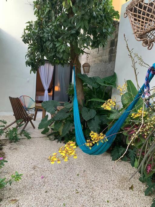 Villa Private Full House With Pool And Cozy Patio à Valladolid  Extérieur photo